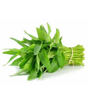 Kangkung
